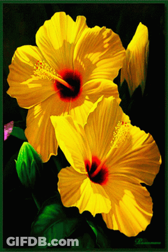 A Painting Of Two Yellow Flowers With A Red Center And A Green Border GIF