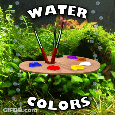 A Painting Palette With Brushes On It And The Words Water Colors Above It GIF