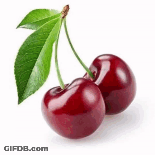 A Pair Of Cherries With Green Leaves On A White Background . GIF