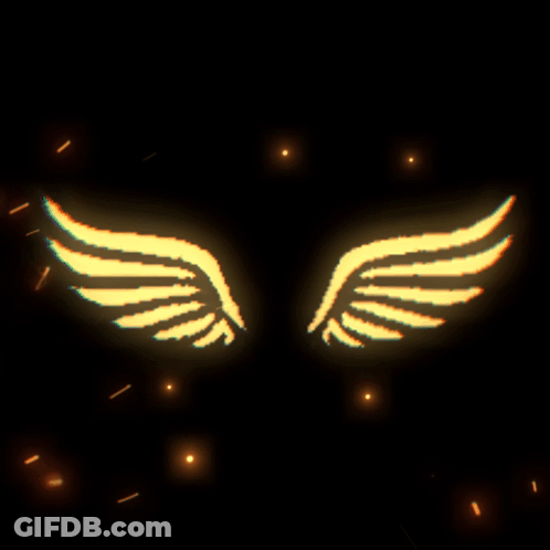 A Pair Of Glowing Wings On A Dark Background GIF
