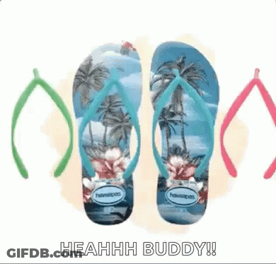 A Pair Of Havaianas Flip Flops With Palm Trees On The Bottom GIF