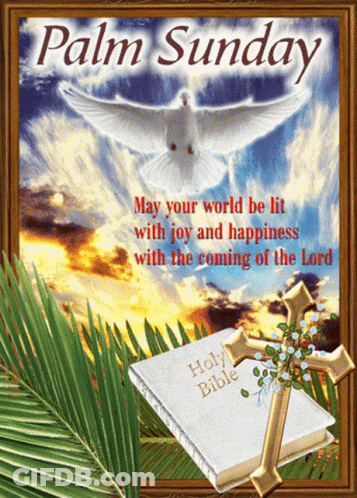 A Palm Sunday Greeting Card With A Dove And A Bible GIF