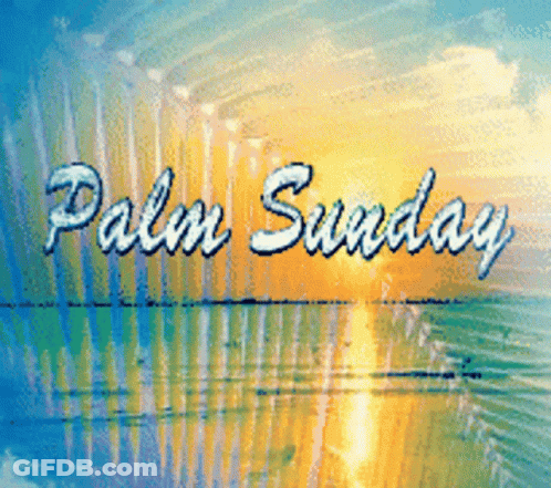 A Palm Sunday Poster With A Sunset And The Words Palm Sunday GIF