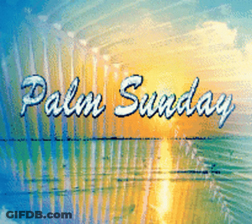 A Palm Sunday Poster With A Sunset And The Words Palm Sunday GIF