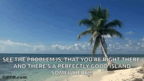 A Palm Tree On A Beach With The Words " See The Problem Is That You 'Re Right There " Below It GIF