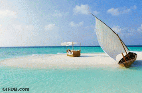 A Palm Tree On A Small Island In The Middle Of The Ocean GIF