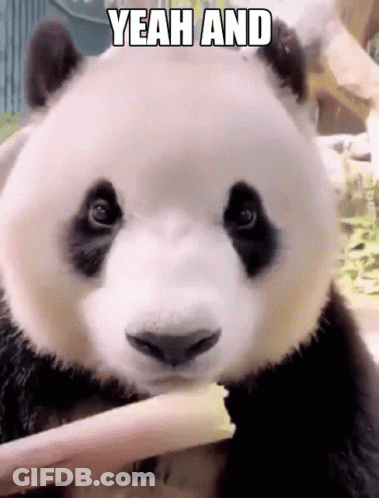 A Panda Bear Is Eating A Piece Of Bamboo With The Words Yeah And Above It GIF