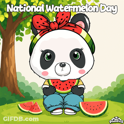 A Panda Bear Is Eating A Slice Of Watermelon In Celebration Of National Watermelon Day GIF