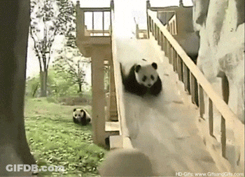 A Panda Bear Is Going Down A Slide With The Website Hd-Gifs.com Visible In The Corner GIF