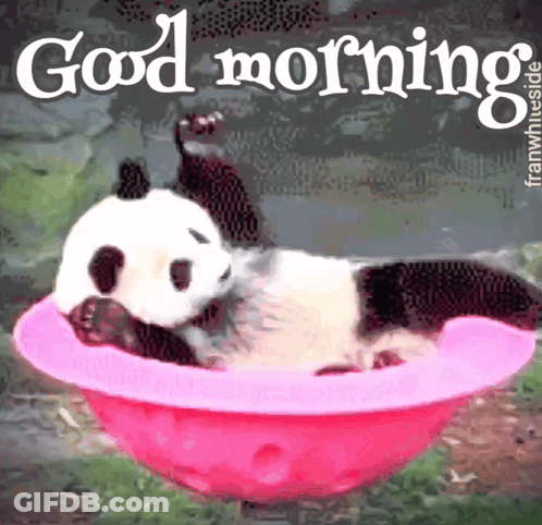 A Panda Bear Is Laying In A Pink Bowl With The Words Good Morning Above It GIF