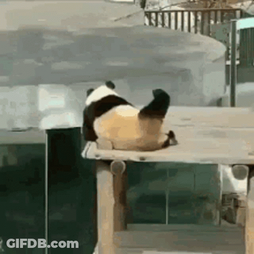 A Panda Bear Is Laying On Its Back On Top Of A Wooden Platform . GIF