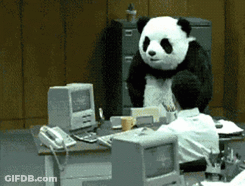 A Panda Bear Is Sitting At A Desk With A Computer And A Phone GIF