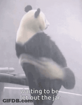 A Panda Bear Is Sitting On A Branch With The Words `` Waiting To Be Let Out The Jar '' Written On It . GIF