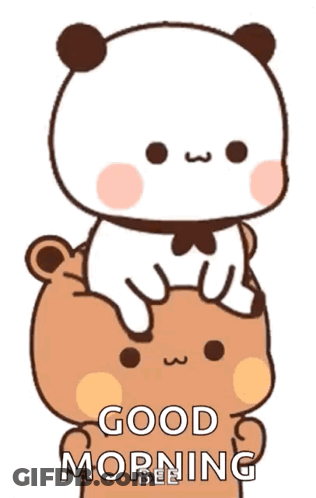 A Panda Bear Is Sitting On Top Of A Brown Bear With The Words `` Good Morning '' Written On It . GIF