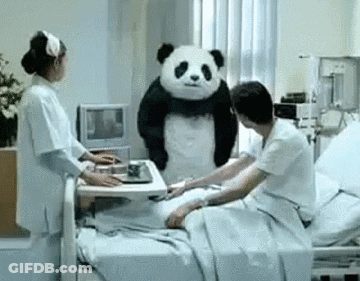 A Panda Bear Is Standing In A Hospital Room Next To A Man In A Hospital Bed . GIF