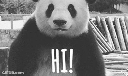 A Panda Bear Is Standing In Front Of A Pile Of Wood And Says Hi ! GIF