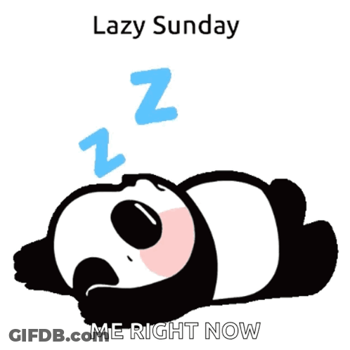 A Panda Bear Laying Down With The Words " Lazy Sunday Me Right Now " Above It GIF
