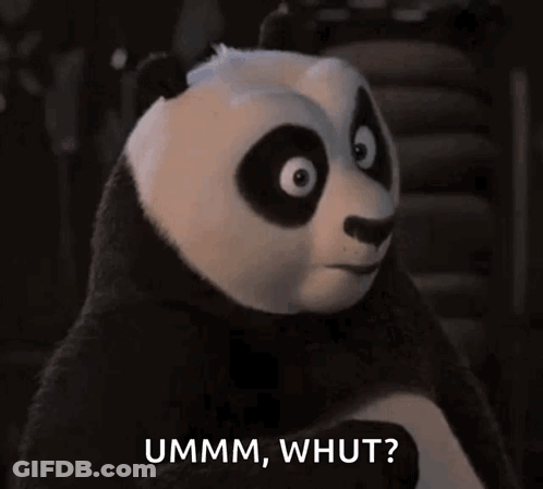 A Panda Bear Says Ummm Whut In A Dark Room GIF
