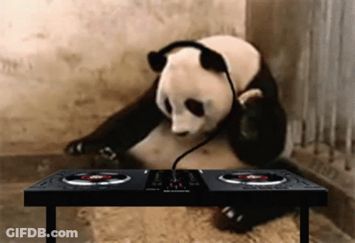 A Panda Bear Wearing Headphones Sits At A Dj 'S Table GIF