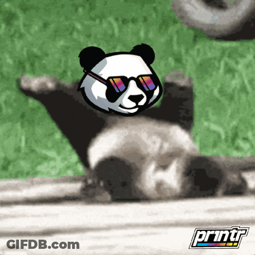 A Panda Bear Wearing Sunglasses Is Laying On Its Back With A Printr Logo In The Background GIF
