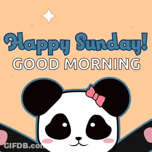 A Panda Bear With A Pink Bow On Its Head And The Words Happy Sunday Good Morning GIF