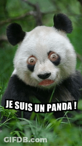 A Panda Bear With A Surprised Look On Its Face And The Words Je Suis Un Panda GIF