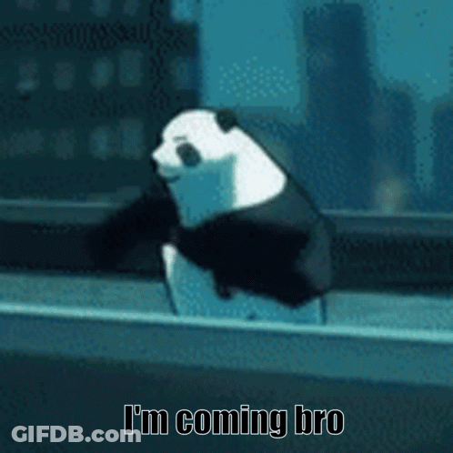 A Panda Bear With The Words I 'M Coming Bro Written On It GIF