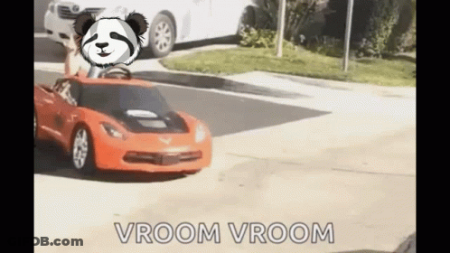 A Panda Is Driving A Toy Car On A Street . GIF