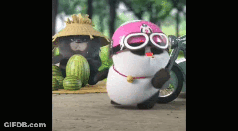 A Panda Wearing A Pink Helmet And Goggles Is Standing Next To A Motorcycle . GIF