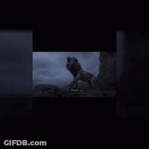 A Pandora Lion King Necklace And Bracelet Are Shown GIF