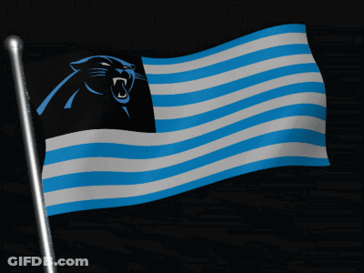 A Panther Flag With Blue And White Stripes GIF