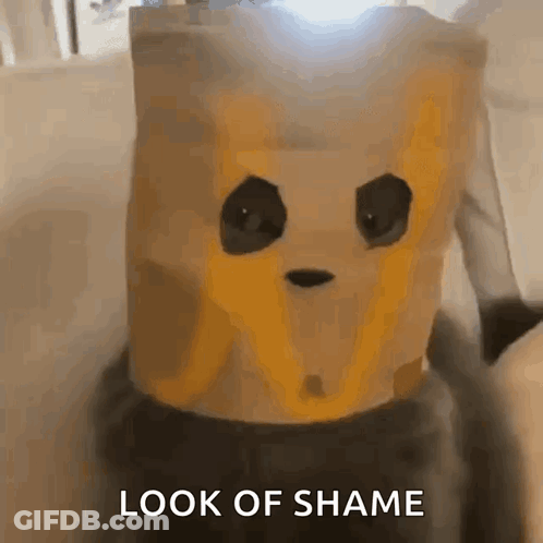 A Paper Bag With A Panda Face On It And The Words Look Of Shame GIF