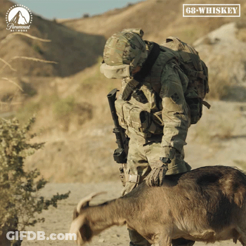 Paramount Network Ad Soldier Next To Goat GIF