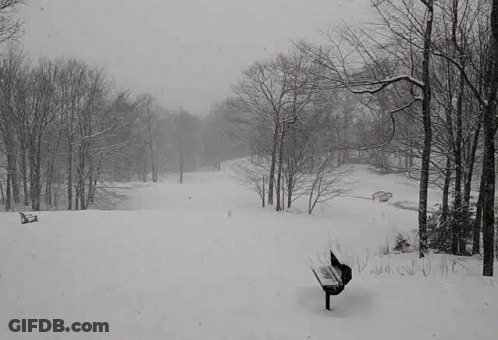 A Park Bench Is Sitting In The Middle Of A Snow Covered Forest . GIF