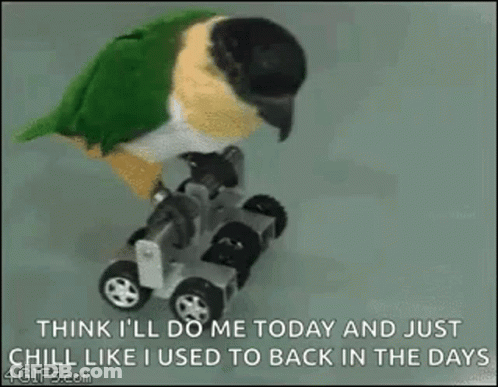 A Parrot Is Sitting On Top Of A Toy Car With Wheels . GIF