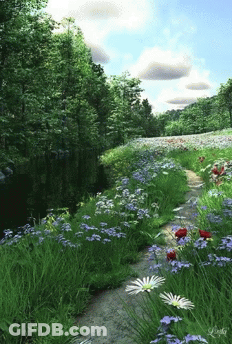 A Path Through A Field Of Flowers With The Name Linda On The Bottom Left GIF