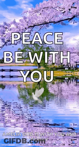 A Peace Be With You Amelia God Is With You And Family GIF