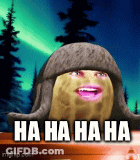 A Peanut Is Wearing A Fur Hat And Laughing With The Words Ha Ha Ha Ha GIF