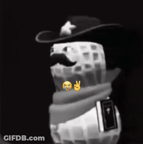 A Peanut Wearing A Cowboy Hat And Scarf Holds A Book GIF