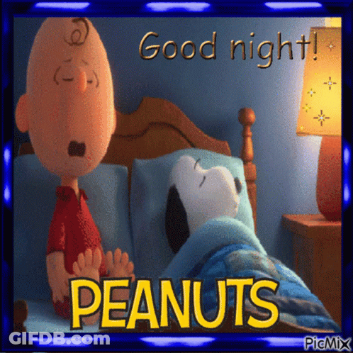 A Peanuts Poster With Charlie Brown And Snoopy GIF