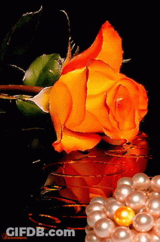 A Pearl Necklace Sits Next To An Orange Rose On A Black Surface GIF