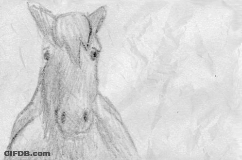 A Pencil Drawing Of A Horse 'S Head On A Piece Of Crumpled Paper GIF