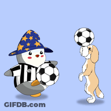 A Penguin And A Dog Are Playing With Soccer Balls And One Has A Soccer Ball On Its Head GIF