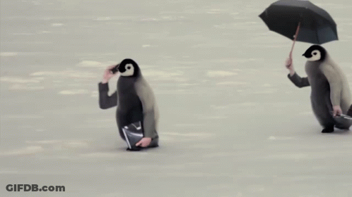 A Penguin Carrying A Suitcase And An Umbrella Is Walking Next To Another Penguin GIF