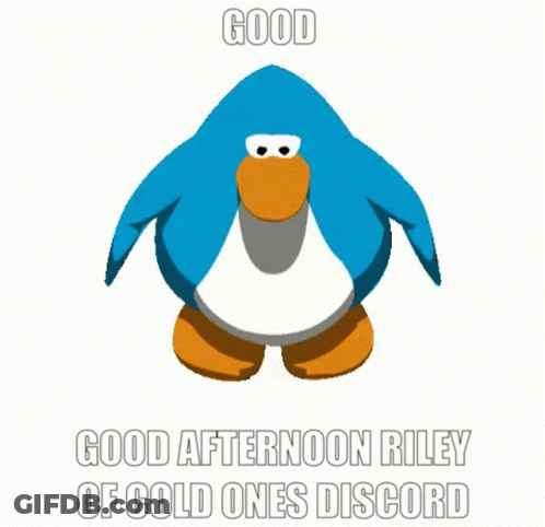 A Penguin Dancing With The Words Good Afternoon Riley Of Cold Ones Discord GIF