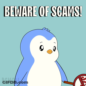 A Penguin Holding A Sign That Says No Scams GIF