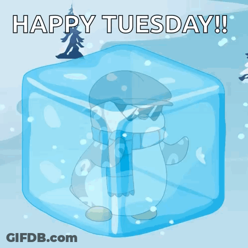 A Penguin In An Ice Cube With The Words Happy Tuesday Written Above It GIF