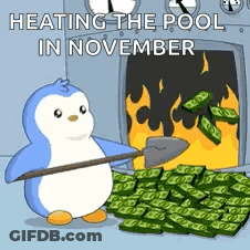 A Penguin Is Holding A Shovel In Front Of A Pool Of Money . GIF