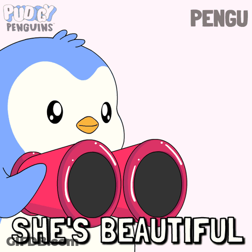 A Penguin Is Looking Through Binoculars With The Words She 'S Beautiful Below It GIF