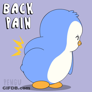 A Penguin Is Shown With The Words Back Pain Written On The Bottom GIF